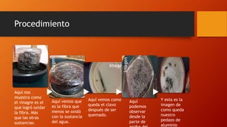 Procedimiento
Imagen
Imagen
Imagen
Imagen
Aquí nos
muestra como
el vinagre es el
que logró oxidar
la fibra. Más
que las otras
sustancias.
Aquí vemos que
es la fibra que
menos se oxidó
con la sustancia
del agua.
Aquí vemos como
queda el clavo
después de ser
quemado.
Aquí
podemos
observar
desde la
parte de
Y esta es la
imagen de
como queda
nuestro
pedazo de
aluminio
 