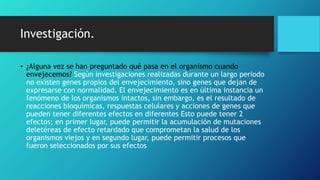 Investigación.
• ¿Alguna vez se han preguntado qué pasa en el organismo cuando
envejecemos? Según investigaciones realizadas durante un largo periodo
no existen genes propios del envejecimiento, sino genes que dejan de
expresarse con normalidad. El envejecimiento es en última instancia un
fenómeno de los organismos intactos, sin embargo, es el resultado de
reacciones bioquímicas, respuestas celulares y acciones de genes que
pueden tener diferentes efectos en diferentes Esto puede tener 2
efectos; en primer lugar, puede permitir la acumulación de mutaciones
deletéreas de efecto retardado que comprometan la salud de los
organismos viejos y en segundo lugar, puede permitir procesos que
fueron seleccionados por sus efectos
 