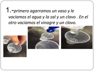 1.-primero agarramos un vaso y le
vaciamos el agua y la sal y un clavo . En el
otro vaciamos el vinagre y un clavo.
 