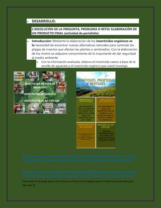  DESARROLLO:
2.RESOLUCIÓN DE LA PREGUNTA, PROBLEMA O RETO/ ELABORACIÓN DE
UN PRODUCTO FINAL (actividad de portafolio)
Introducción: Mediante la elaboración de los insecticidas orgánicos es
la necesidad de encontrar nuevas alternativas naturales para controlar las
plagas de insectos que afectan las plantas o sembradíos. Con la elaboración
de los mismo se adquiere conocimiento de lo importante de dar seguridad
al medio ambiente
Con la información analizada, elabore el insecticida casero a base de la
semilla de aguacate y el insecticida orgánico que usted investigó.
https://www.canva.com/design/DAERLt1Rb30/FeT7V0GCr3AUpfHT0w6xeQ/view?utm_content=D
AERLt1Rb30&utm_campaign=designshare&utm_medium=link&utm_source=publishsharelink
https://www.canva.com/design/DAERKy_dqOc/eSuzQYJ1SkZxWz3thca4AQ/view?utm_content=D
AERKy_dqOc&utm_campaign=designshare&utm_medium=link&utm_source=publishsharelink
licenciado no le pude poner en la tarea en línea no me dejaba poner 2 enlaces poreso abra por
aquí por fa.