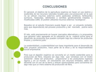 CONCLUSIONES
En general, el objetivo de la agricultura orgánica es hacer un uso óptimo y
sostenible de los recursos naturales locales para una producción en la que
no se utilicen insumos externos como pesticidas sintéticos, fertilizantes
químicos, herbicidas, defoliantes y semillas genéticamente tratadas o
modificadas (GM). Sí podrán utilizarse insumos externos “ecológicos”.
Basados en el estudio financiero puede llegar a ser un proyecto rentable,
pero que dependiendo del proceso productivo y del mercado, podría serlo
más.
El reto, está precisamente en buscar mercados alternativos y /o propuestas
que generen valor agregado en la utilización de la materia prima para el
desarrollo de productos que pueden competir bajo los criterios de productos
limpios, y comercio justo.
La sostenibilidad y sustentabilidad son base importante para el desarrollo de
todo proyecto productivo, hace parte de la ética y de la responsabilidad
social empresarial.
Para que el algodón orgánico se convierta en un medio sostenible para la
producción de fibra, requiere ser algo más que “amistoso con el medio
ambiente”. Debe ser productivo, proporcionar a los productores ingresos
dignos y, en un mundo en crecimiento con recursos limitados, debe ser
eficiente con el uso de la tierra y ofrecer oportunidades para convertirse en
algo más que un mero sistema de producción de fibra.

 