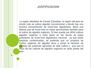 JUSTIFICACION

La región alrededor de Cereté (Córdoba), la región del país en
donde más se cultiva algodón convencional y donde hay una
enorme concentración de know-how algodonero. Sería una
lástima que tal know-how no fuese aprovechado también para
el cultivo de algodón orgánico. Si bien puede ser difícil cultivar
algodón orgánico a corto plazo en las tierras de estos
portadores de know-how algodonero nacional , ya que están
bastante contaminadas, se pretende que un proyecto de
Cultivo orgánico de algodón lleve a tomar la decisión de
cambiar las prácticas agrícolas de este cultivo y que sea el
inicio de los cultivos de algodón orgánico en otras partes del
país.

 