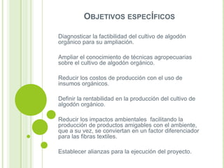OBJETIVOS ESPECÍFICOS
Diagnosticar la factibilidad del cultivo de algodón
orgánico para su ampliación.
Ampliar el conocimiento de técnicas agropecuarias
sobre el cultivo de algodón orgánico.
Reducir los costos de producción con el uso de
insumos orgánicos.
Definir la rentabilidad en la producción del cultivo de
algodón orgánico.
Reducir los impactos ambientales facilitando la
producción de productos amigables con el ambiente,
que a su vez, se conviertan en un factor diferenciador
para las fibras textiles.
Establecer alianzas para la ejecución del proyecto.

 