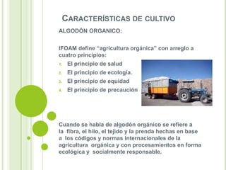 CARACTERÍSTICAS DE CULTIVO
ALGODÓN ORGANICO:
IFOAM define “agricultura orgánica” con arreglo a
cuatro principios:
1.

El principio de salud

2.

El principio de ecología.

3.

El principio de equidad

4.

El principio de precaución

Cuando se habla de algodón orgánico se refiere a
la fibra, el hilo, el tejido y la prenda hechas en base
a los códigos y normas internacionales de la
agricultura orgánica y con procesamientos en forma
ecológica y socialmente responsable.

 