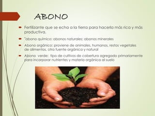 ABONO
 Fertilizante que se echa a la tierra para hacerla más rica y más
productiva.
 "abono químico; abonos naturales; abonos minerales
 Abono orgánico: proviene de animales, humanos, restos vegetales
de alimentos, otra fuente orgánica y natural
 Abono verde: tipo de cultivos de cobertura agregado primariamente
para incorporar nutrientes y materia orgánica al suelo
 