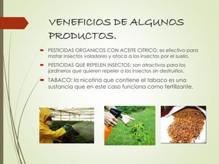 VENEFICIOS DE ALGUNOS
PRODUCTOS.
 PESTICIDAS ORGANICOS CON ACEITE CITRICO: es efectivo para
matar insectos voladores y ataca a los insectos por el suelo.
 PESTICIDAS QUE REPELEN INSECTOS: son atractivos para los
jardineros que quieren repeler a los insectos sin destruirlos.
 TABACO: la nicotina que contiene el tabaco es una
sustancia que en este caso funciona como fertilizante.
 