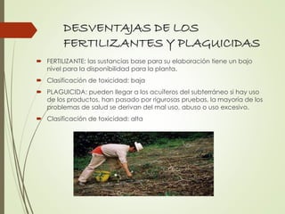 DESVENTAJAS DE LOS
FERTILIZANTES Y PLAGUICIDAS
 FERTILIZANTE: las sustancias base para su elaboración tiene un bajo
nivel para la disponibilidad para la planta.
 Clasificación de toxicidad: baja
 PLAGUICIDA: pueden llegar a los acuíferos del subterráneo si hay uso
de los productos, han pasado por rigurosas pruebas, la mayoría de los
problemas de salud se derivan del mal uso, abuso o uso excesivo.
 Clasificación de toxicidad: alta
 