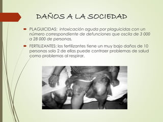 DAÑOS A LA SOCIEDAD
 PLAGUICIDAS: intoxicación aguda por plaguicidas con un
número correspondiente de defunciones que oscila de 3 000
a 28 000 de personas.
 FERTILIZANTES: los fertilizantes tiene un muy bajo daños de 10
personas solo 2 de ellas puede contraer problemas de salud
como problemas al respirar.
 