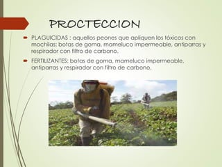 PROCTECCION
 PLAGUICIDAS : aquellos peones que apliquen los tóxicos con
mochilas: botas de goma, mameluco impermeable, antiparras y
respirador con filtro de carbono.
 FERTILIZANTES: botas de goma, mameluco impermeable,
antiparras y respirador con filtro de carbono.
 