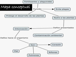 Mapa conceptual
 