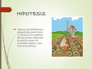 HIPOTESIS
 Usamos los fertilizantes y
plaguicidas para tener
o conservar la calidad
de las planta utilizando
la química pero sin
causarles daños y sea
mas económico.
 