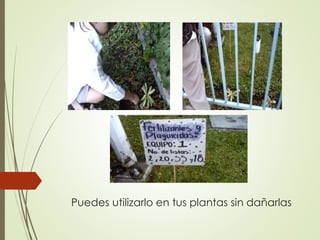 Puedes utilizarlo en tus plantas sin dañarlas
 