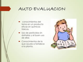 AUTO EVALUACION
 conocimientos del
tema en un producto
eficaz sin químicos
tóxicos.
 Uso de pesticidas sin
dañarlas y el buen uso
de ellas
 Conocimientos de lo
que ayuda a fortalece
a la planta.
 