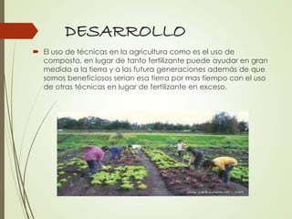 DESARROLLO
 El uso de técnicas en la agricultura como es el uso de
composta, en lugar de tanto fertilizante puede ayudar en gran
medida a la tierra y a las futura generaciones además de que
somos beneficiosos serian esa tierra por mas tiempo con el uso
de otras técnicas en lugar de fertilizante en exceso.
 