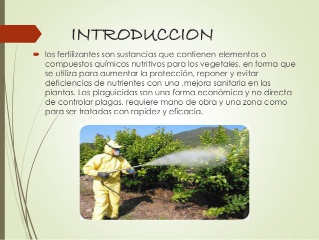 Proyecto 5 ciencias plaguicidas y fertilizantes