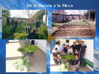 De la Huerta a la Mesa