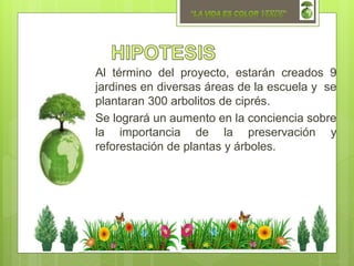 Al término del proyecto, estarán creados 9
jardines en diversas áreas de la escuela y se
plantaran 300 arbolitos de ciprés.
Se logrará un aumento en la conciencia sobre
la importancia de la preservación y
reforestación de plantas y árboles.
 