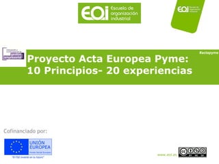 Proyecto Acta Europea Pyme:  10 Principios- 20 experiencias Cofinanciado por: #actapyme 
