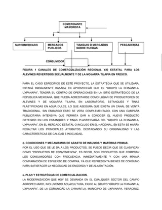COMERCIANTE
                                   MAYORISTA




SUPERMERCADO            MERCADOS              TIANGUIS O MERCADOS        PESCADERIAS
                        PUBLICOS              SOBRE RUEDAS




                    CONSUMIDOR


   FIGURA 1 CANALES DE COMERCIALIZACIÓN REGIONAL Y/O ESTATAL PARA LOS
   ALEVINES REVERTIDOS SEXUALMENTE Y DE LA MOJARRA TILAPIA EN FRESCO.


   PARA EL CASO ESPECIFICO DE ESTE PROYECTO, LA ESTRATEGIA QUE SE UTILIZARA,
   ESTARÁ INICIALMENTE BASADA EN APROVECHAR QUE EL “GRUPO LA CHINANTLA,
   UXPANAPA”, TENDRÁ SU CENTRO DE OPERACIONES EN UN SITIO ESTRATÉGICO DE LA
   REPUBLICA MEXICANA, QUE PUEDA ACREDITARSE COMO LUGAR DE PRODUCTORES DE
   ALEVINES    Y   DE   MOJARRA    TILAPIA,    EN   LABORATORIO,   ESTANQUES   Y   TINAS
   PLASTIFICADAS EN AGUA DULCE, LO QUE ASEGURA QUE EXISTA UN CANAL DE VENTA
   TRADICIONAL, SIN EMBARGO ESTO SE VERA COMPLEMENTADO, CON UNA CAMPAÑA
   PUBLICITARIA INTENSIVA QUE PERMITA DAR A CONOCER EL NUEVO PRODUCTO
   OBTENIDO EN LOS ESTANQUES Y TINAS PLASTIFICADAS DEL “GRUPO LA CHINANTLA,
   UXPANAPA”, EN EL MERCADO ESTATAL O INCLUSO EN EL NACIONAL, EN ESTA SE HARÁN
   RESALTAR LOS PRINCIPALES ATRIBUTOS, DESTACANDO SU ORIGINALIDAD Y LAS
   CARACTERÍSTICAS DE CALIDAD E INOCUIDAD.


   d. CONDICIONES Y MECANISMOS DE ABASTO DE INSUMOS Y MATERIAS PRIMAS.
   POR EL USO QUE SE LE DA A LOS PRODUCTOS, SE PUEDE DECIR QUE SE CLASIFICAN
   COMO “PRODUCTOS DE CONVENIENCIA”, ES DECIR, SON PRODUCTOS QUE COMPRAN
   LOS CONSUMIDORES CON FRECUENCIA, INMEDIATAMENTE Y CON UNA MÍNIMA
   COMPARACIÓN DE ESFUERZO DE COMPRA, YA QUE REPRESENTA BIENES DE CONSUMO
   PARA SATISFACER LA NECESIDAD DE ENGORDA Y DE ALIMENTACIÓN.


   e. PLAN Y ESTRATÉGIAS DE COMERCIALIZACION.
   LA MODERNIZACIÓN QUE HOY SE DEMANDA EN EL CUALQUIER SECTOR DEL CAMPO
   AGROPECUARIO, INCLUYENDO ACUACULTURA, EXIGE AL GRUPO “GRUPO LA CHINANTLA,
   UXPANAPA”, DE LA COMUNIDAD LA CHINANTLA, MUNICIPIO DE UXPANAPA, VERACRUZ,
 