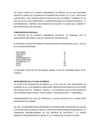 LA TILAPIA COMO SE LE CONOCE COMÚNMENTE EN MÉXICO, ES UN PEZ EURITERMA
SIENDO EL RANGO DE TOLERANCIA DE TEMPERATURA ENTRE 12°C. A 42°C. SON PECES
EURIHALINOS Y QUE PUEDEN VIVIR EN AGUAS DULCES, SALOBRES Y MARINAS; ES UN
PEZ DE CULTIVO MUY RESISTENTE A CONCENTRACIONES DE OXÍGENO BASTANTE Y A
ENFERMEDADES, TAMPOCO SON EXIGENTES EN CUANTO A CALIDAD DEL ALIMENTO Y
SE REPRODUCEN CON FACILIDAD.


COMPOSICIÓN NUTRICIONAL.
EL PESCADO ES UN ALIMENTO SUMAMENTE NUTRITIVO, SE CONSUME CON LA
FINALIDAD DE MANTENER LA SALUD Y BIENES DE LOS INDIVIDUOS.


EL PESCADO ES NUESTRO PRINCIPAL ABASTECEDOR DE PROTEÍNAS DE UN 20 – 30% DE
ALTO VALOR NUTRICIONAL.


  CONTENIDO                                          %
  PROTEÍNAS                                          20
  GRASAS                                              0
  CARBOHIDRATOS                                       5
  SALES MINERALES                                     5
  VITAMINA (B Y C)                                   20
  AGUA                                               50
  TOTAL                                             100

LA MOJARRA TILAPIA ES UN PEZ MAGRO, DEBIDO A QUE NO CONTIENE GRASA EN SU
CUERPO.




ANTECEDENTES DE LA TILAPIA EN MÉXICO.
LA TILAPIA FUE INTRODUCIDA EN MÉXICO, EL 10 DE JULIO DE 1964, PROCEDENTE DE
ALABAMA, EE.UU. LOS PRIMEROS EJEMPLARES FUERON DEPOSITADOS EN LA ESTACIÓN
DE PISCICULTURA DE TEMAZCAL, OAXACA, Y LAS ESPECIES QUE SE INCLUYERON EN
ESTA INTRODUCCIÓN FUERON: TILAPIA ÁUREA, T. MELANOPLEURA Y T, MOZAMBICA.


POSTERIORMENTE EN 1978, SE INTRODUJO LA TILAPIA NILÓTICA EN EL MISMO SITIO
PROCEDENTE DE PANAMÁ.


EN 1981, SE IMPLEMENTARON PROGRAMAS DE PRODUCCIÓN CONTROLADA EN JAULAS
FLOTANTES CON LLEGADA AL PAÍS DE TILAPIA ROJA OREOCHROMIS MOSSAMBICUS Y O.
HORNORUM, DISTRIBUYÉNDOSE EN LOS CENTROS DE ZACATEPEC Y EL RODEO
MORELOS, PROVENIENTES DE FLORIDA, E.U.A. A TRAVÉS DEL NATURAL SYSTEM.
 