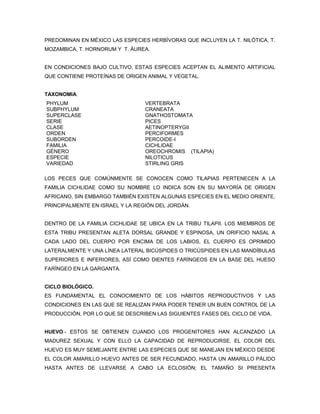 PREDOMINAN EN MÉXICO LAS ESPECIES HERBÍVORAS QUE INCLUYEN LA T. NILÓTICA, T.
MOZAMBICA, T. HORNORUM Y T. ÁUREA.


EN CONDICIONES BAJO CULTIVO, ESTAS ESPECIES ACEPTAN EL ALIMENTO ARTIFICIAL
QUE CONTIENE PROTEÍNAS DE ORIGEN ANIMAL Y VEGETAL.


TAXONOMIA.
PHYLUM                           VERTEBRATA
SUBPHYLUM                        CRANEATA
SUPERCLASE                       GNATHOSTOMATA
SERIE                            PICES
CLASE                            AETINOPTERYGII
ORDEN                            PERCIFORMES
SUBORDEN                         PERCOIDE-I
FAMILIA                          CICHLIDAE
GÉNERO                           OREOCHROMIS (TILAPIA)
ESPECIE                          NILOTICUS
VARIEDAD                         STIRLING GRIS

LOS PECES QUE COMÚNMENTE SE CONOCEN COMO TILAPIAS PERTENECEN A LA
FAMILIA CICHLIDAE COMO SU NOMBRE LO INDICA SON EN SU MAYORÍA DE ORIGEN
AFRICANO, SIN EMBARGO TAMBIÉN EXISTEN ALGUNAS ESPECIES EN EL MEDIO ORIENTE,
PRINCIPALMENTE EN ISRAEL Y LA REGIÓN DEL JORDÁN.


DENTRO DE LA FAMILIA CICHLIDAE SE UBICA EN LA TRIBU TILAPII. LOS MIEMBROS DE
ESTA TRIBU PRESENTAN ALETA DORSAL GRANDE Y ESPINOSA, UN ORIFICIO NASAL A
CADA LADO DEL CUERPO POR ENCIMA DE LOS LABIOS, EL CUERPO ES OPRIMIDO
LATERALMENTE Y UNA LÍNEA LATERAL BICÚSPIDES O TRICÚSPIDES EN LAS MANDÍBULAS
SUPERIORES E INFERIORES, ASÍ COMO DIENTES FARÍNGEOS EN LA BASE DEL HUESO
FARÍNGEO EN LA GARGANTA.


CICLO BIOLÓGICO.
ES FUNDAMENTAL EL CONOCIMIENTO DE LOS HÁBITOS REPRODUCTIVOS Y LAS
CONDICIONES EN LAS QUE SE REALIZAN PARA PODER TENER UN BUEN CONTROL DE LA
PRODUCCIÓN, POR LO QUE SE DESCRIBEN LAS SIGUIENTES FASES DEL CICLO DE VIDA.


HUEVO.- ESTOS SE OBTIENEN CUANDO LOS PROGENITORES HAN ALCANZADO LA
MADUREZ SEXUAL Y CON ELLO LA CAPACIDAD DE REPRODUCIRSE. EL COLOR DEL
HUEVO ES MUY SEMEJANTE ENTRE LAS ESPECIES QUE SE MANEJAN EN MÉXICO DESDE
EL COLOR AMARILLO HUEVO ANTES DE SER FECUNDADO, HASTA UN AMARILLO PÁLIDO
HASTA ANTES DE LLEVARSE A CABO LA ECLOSIÓN; EL TAMAÑO SI PRESENTA
 