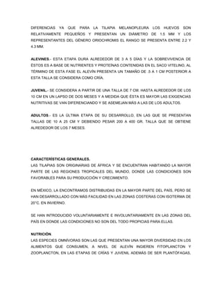 DIFERENCIAS   YA     QUE   PARA   LA   TILAPIA   MELANOPLEURA   LOS   HUEVOS   SON
RELATIVAMENTE PEQUEÑOS Y PRESENTAN UN DIÁMETRO DE 1.5 MM Y LOS
REPRESENTANTES DEL GÉNERO ORIOCHROMIS EL RANGO SE PRESENTA ENTRE 2.2 Y
4.3 MM.


ALEVINES.- ESTA ETAPA DURA ALREDEDOR DE 3 A 5 DÍAS Y LA SOBREVIVENCIA DE
ÉSTOS ES A BASE DE NUTRIENTES Y PROTEÍNAS CONTENIDAS EN EL SACO VITELINO, AL
TÉRMINO DE ESTA FASE EL ALEVÍN PRESENTA UN TAMAÑO DE .5 A 1 CM POSTERIOR A
ESTA TALLA SE CONSIDERA COMO CRÍA.


JUVENIL.- SE CONSIDERA A PARTIR DE UNA TALLA DE 7 CM. HASTA ALREDEDOR DE LOS
10 CM EN UN LAPSO DE DOS MESES Y A MEDIDA QUE ÉSTA ES MAYOR LAS EXIGENCIAS
NUTRITIVAS SE VAN DIFERENCIANDO Y SE ASEMEJAN MÁS A LAS DE LOS ADULTOS.


ADULTOS.- ES LA ÚLTIMA ETAPA DE SU DESARROLLO, EN LAS QUE SE PRESENTAN
TALLAS DE 10 A 25 CM Y DEBIENDO PESAR 200 A 400 GR. TALLA QUE SE OBTIENE
ALREDEDOR DE LOS 7 MESES.




CARACTERÍSTICAS GENERALES.
LAS TILAPIAS SON ORIGINARIAS DE ÁFRICA Y SE ENCUENTRAN HABITANDO LA MAYOR
PARTE DE LAS REGIONES TROPICALES DEL MUNDO, DONDE LAS CONDICIONES SON
FAVORABLES PARA SU PRODUCCIÓN Y CRECIMIENTO.


EN MÉXICO, LA ENCONTRAMOS DISTRIBUIDAS EN LA MAYOR PARTE DEL PAÍS, PERO SE
HAN DESARROLLADO CON MÁS FACILIDAD EN LAS ZONAS COSTERAS CON ISOTERMA DE
20°C. EN INVIERNO.


SE HAN INTRODUCIDO VOLUNTARIAMENTE E INVOLUNTARIAMENTE EN LAS ZONAS DEL
PAÍS EN DONDE LAS CONDICIONES NO SON DEL TODO PROPICIAS PARA ELLAS.


NUTRICIÓN.
LAS ESPECIES OMNÍVORAS SON LAS QUE PRESENTAN UNA MAYOR DIVERSIDAD EN LOS
ALIMENTOS QUE CONSUMEN, A NIVEL DE ALEVÍN INGIEREN FITOPLANCTON Y
ZOOPLANCTON, EN LAS ETAPAS DE CRÍAS Y JUVENIL ADEMÁS DE SER PLANTÓFAGAS,
 