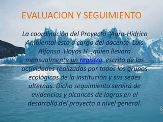 PILDORAS RADIALES “ECOLOGIANDO”