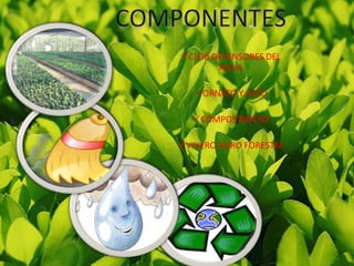 COMPONENTESCLUB DEFENSORES DEL AGUA