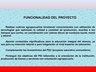 FUNCIONALIDAD DEL PROYECTO
Realizar cultivos agropecuarios brindando conocimientos con utilización de
tecnologías que optimizan la calidad y cantidad de producción, acordes a los
tiempos que corren, en coordinación con valores éticos de conducta social, moral
y laboral.
Aportar contenidos significativos para la educación integral del alumno, ya
sea para su inserción laboral o para integración al nivel superior de educación.
Complementar los lineamientos del PEC (proyecto educativo comunitario).
Perseguir los objetivos del PEI referentes a la orientación de la institución;
producción de bienes y servicios con orientación agropecuaria.
 