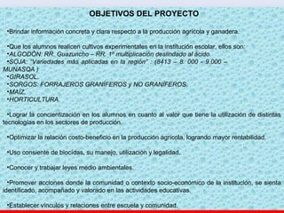 OBJETIVOS DEL PROYECTO
•Brindar información concreta y clara respecto a la producción agrícola y ganadera.
•Que los alumnos realicen cultivos experimentales en la institución escolar, ellos son:
•ALGODÓN: RR. Guazuncho – RR. 1º multiplicación deslindado al ácido.
•SOJA: “Variedades más aplicadas en la región” : (8413 – 8. 000 - 9.000 –
MUNASQA )
•GIRASOL.
•SORGOS: FORRAJEROS GRANÍFEROS y NO GRANÍFEROS.
•MAÍZ.
•HORTICULTURA.
•Lograr la concientización en los alumnos en cuanto al valor que tiene la utilización de distintas
tecnologías en los sectores de producción.
•Optimizar la relación costo-beneficio en la producción agrícola, logrando mayor rentabilidad.
•Uso consiente de biocídas, su manejo, utilización y legalidad.
•Conocer y trabajar leyes medio ambientales.
•Promover acciones donde la comunidad o contexto socio-económico de la institución, se sienta
identificado, acompañado y valorado en las actividades educativas.
•Establecer vínculos y relaciones entre escuela y comunidad.
 