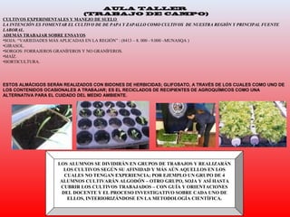 LOS ALUMNOS SE DIVIDIRÁN EN GRUPOS DE TRABAJOS Y REALIZARÁN
LOS CULTIVOS SEGÚN SU AFINIDAD Y MÁS AÚN AQUELLOS EN LOS
CUALES NO TENGAN EXPERIENCIA; POR EJEMPLO UN GRUPO DE 4
ALUMNOS CULTIVARÁN ALGODÓN – OTRO GRUPO, SOJA Y ASÍ HASTA
CUBRIR LOS CULTIVOS TRABAJADOS – CON GUÍA Y ORIENTACIONES
DEL DOCENTE Y EL PROCESO INVESTIGATIVO SOBRE CADA UNO DE
ELLOS, INTERIORIZÁNDOSE EN LA METODOLOGÍA CIENTÍFICA.
AULA TALLER
(TRABAJO DE CAMPO)
CULTIVOS EXPERIMENTALES Y MANEJO DE SUELO
LA INTENCIÓN ES FOMENTAR EL CULTIVO DE DE PAPA Y ZAPALLO COMO CULTIVOS DE NUESTRA REGIÓN Y PRINCIPAL FUENTE
LABORAL.
ADEMÁS TRABAJAR SOBRE ENSAYOS
•SOJA: “VARIEDADES MÁS APLICADAS EN LA REGIÓN” : (8413 – 8. 000 - 9.000 –MUNASQA )
•GIRASOL.
•SORGOS: FORRAJEROS GRANÍFEROS Y NO GRANÍFEROS.
•MAÍZ.
•HORTICULTURA.
ESTOS ALMÁCIGOS SERÁN REALIZADOS CON BIDONES DE HERBICIDAS; GLIFOSATO, A TRAVÉS DE LOS CUALES COMO UNO DE
LOS CONTENIDOS OCASIONALES A TRABAJAR; ES EL RECICLADOS DE RECIPIENTES DE AGROQUÍMICOS COMO UNA
ALTERNATIVA PARA EL CUIDADO DEL MEDIO AMBIENTE.
 