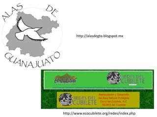 http://alasdegto.blogspot.mx




http://www.ecocubilete.org/redes/index.php
 