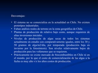 Desventajas: El sistema no se comercializa en la actualidad en Chile. No existen prototipos industriales. Faltan análisis reales de terreno en la zona geográfica de Chile. Plantas de producción de relativo bajo costo, aunque requieren de altas inversiones iniciales. Niveles de producción de algas secas de todos los sistemas actualmente en estudio son comparativamente iguales, entre los 30 y 50 gramos de alga/m2/día, por temporada (producción baja en invierno por la fotosíntesis). Son niveles relativamente bajos de producción para los volúmenes que se requieren. Prácticamente no existe mercado de biocombustibles en Chile ni en el mundo, por lo que el costo de comercialización de las algas a la fecha es muy alto v/s los altos costos de producción. 