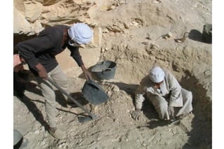 Proyecto Amenhotep Huy, campaña 2009, 11 noviembre