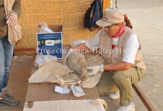Proyecto Amenhotep Huy, diario de excavación del 13 de noviembre