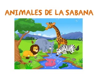 ANIMALES DE LA SABANA
 