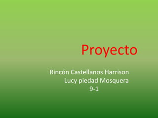 Proyecto
Rincón Castellanos Harrison
     Lucy piedad Mosquera
              9-1
 