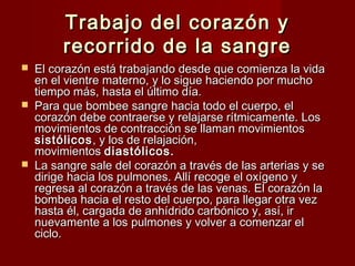 Trabajo ddeell ccoorraazzóónn yy 
rreeccoorrrriiddoo ddee llaa ssaannggrree 
 EEll ccoorraazzóónn eessttáá ttrraabbaajjaannddoo ddeessddee qquuee ccoommiieennzzaa llaa vviiddaa 
eenn eell vviieennttrree mmaatteerrnnoo,, yy lloo ssiigguuee hhaacciieennddoo ppoorr mmuucchhoo 
ttiieemmppoo mmááss,, hhaassttaa eell úúllttiimmoo ddííaa.. 
 PPaarraa qquuee bboommbbeeee ssaannggrree hhaacciiaa ttooddoo eell ccuueerrppoo,, eell 
ccoorraazzóónn ddeebbee ccoonnttrraaeerrssee yy rreellaajjaarrssee rrííttmmiiccaammeennttee.. LLooss 
mmoovviimmiieennttooss ddee ccoonnttrraacccciióónn ssee llllaammaann mmoovviimmiieennttooss 
ssiissttóólliiccooss,, yy llooss ddee rreellaajjaacciióónn,, 
mmoovviimmiieennttooss ddiiaassttóólliiccooss.. 
 LLaa ssaannggrree ssaallee ddeell ccoorraazzóónn aa ttrraavvééss ddee llaass aarrtteerriiaass yy ssee 
ddiirriiggee hhaacciiaa llooss ppuullmmoonneess.. AAllllíí rreeccooggee eell ooxxííggeennoo yy 
rreeggrreessaa aall ccoorraazzóónn aa ttrraavvééss ddee llaass vveennaass.. EEll ccoorraazzóónn llaa 
bboommbbeeaa hhaacciiaa eell rreessttoo ddeell ccuueerrppoo,, ppaarraa lllleeggaarr oottrraa vveezz 
hhaassttaa ééll,, ccaarrggaaddaa ddee aannhhííddrriiddoo ccaarrbbóónniiccoo yy,, aassíí,, iirr 
nnuueevvaammeennttee aa llooss ppuullmmoonneess yy vvoollvveerr aa ccoommeennzzaarr eell 
cciicclloo.. 
 
