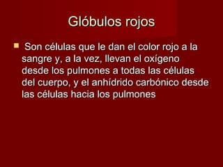 GGllóóbbuullooss rroojjooss 
 SSoonn ccéélluullaass qquuee llee ddaann eell ccoolloorr rroojjoo aa llaa 
ssaannggrree yy,, aa llaa vveezz,, lllleevvaann eell ooxxííggeennoo 
ddeessddee llooss ppuullmmoonneess aa ttooddaass llaass ccéélluullaass 
ddeell ccuueerrppoo,, yy eell aannhhííddrriiddoo ccaarrbbóónniiccoo ddeessddee 
llaass ccéélluullaass hhaacciiaa llooss ppuullmmoonneess 
 