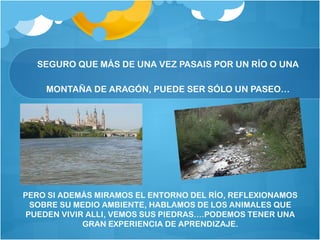 SEGURO QUE MÁS DE UNA VEZ PASAIS POR UN RÍO O UNA
MONTAÑA DE ARAGÓN, PUEDE SER SÓLO UN PASEO…
PERO SI ADEMÁS MIRAMOS EL ENTORNO DEL RÍO, REFLEXIONAMOS
SOBRE SU MEDIO AMBIENTE, HABLAMOS DE LOS ANIMALES QUE
PUEDEN VIVIR ALLI, VEMOS SUS PIEDRAS….PODEMOS TENER UNA
GRAN EXPERIENCIA DE APRENDIZAJE.
 
