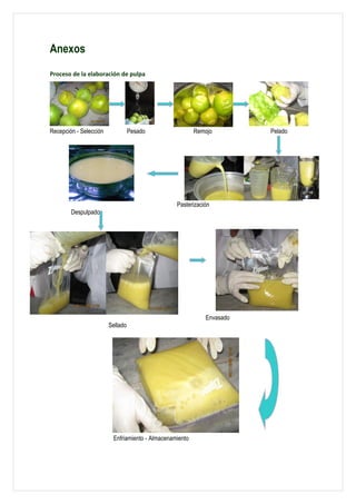 Anexos
Proceso de la elaboración de pulpa




Recepción - Selección             Pesado                 Remojo        Pelado




                                                 Pasterización
        Despulpado




                                                            Envasado
                        Sellado




                         Enfriamiento - Almacenamiento
 