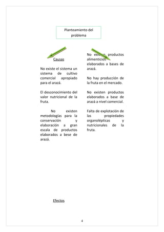 Planteamiento del
                     problema



                               No existen productos
        Causas                 alimenticios
                               elaborados a bases de
No existe el sistema un        arazá.
sistema de cultivo
comercial apropiado            No hay producción de
para el arazá.                 la fruta en el mercado.

El desconocimiento del         No existen productos
valor nutricional de la        elaborados a base de
fruta.                         arazá a nivel comercial.

       No     existen          Falta de explotación de
metodologías para la           las        propiedades
conservación        y          organolépticas        y
elaboración a gran             nutricionales de la
escala de productos            fruta.
elaborados a bese de
arazá.




       Efectos




                           4
 