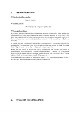 1.      DESCRIPCIÓN Y HÁBITAT

1.1 Nombre científico y familia:

                        Eugenia stipitata

1.2 Nombre común:

                        "Arazá" (español), "araçá-boi" (portugués).

1.3 Descripción botánica:
Es un árbol pequeño que alcanza 3,0 m de altura. La ramificación se inicia desde la base con
ramas de sección circular, glabras y lisas. Las hojas son sésiles, opuestas, de forma elíptica con
ápice acuminado, lámina lisa o ligeramente pubescente con nervaduras que no sobresalen en el
haz pero sí en el envés. La dimensión de las hojas vana entre 8 y 12 cm. de largo por 3 a 6 cm.
de ancho.
El fruto es una baya esferoidal de color verde al estado inmaduro y amarillo a la madurez, con
exocarpo liso o aterciopelado, hasta 10 cm. de diámetro y peso promedio de 200 g, pero llega
hasta 600 g. E1 número de semillas por fruto varía entre uno y veinte.
Menos de tres hileras de frutos cada una y transportado con cuidado, para evitar el
aplastamiento. Frutos mantenidos a temperatura ambiente (26°C) pierden 2, 8, 16 y 23% de
peso en el tercer, cuarto, quinto y sexto día, respectivamente. Si la fruta tiene lesiones o si ha
sido cosechada semimadura, la disminución del peso es mayor.
La fruta fresca puede guardarse en refrigeración entre 8 y 10°C con menores pérdidas de peso.
Por otro lado, la pulpa puede guardarse congelada a menos 10°C.




2.      UTILIZACIÓN Y COMERCIALIZACIÓN
 