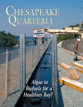 CHESAPEAKE
QUARTERLY
  MARYLAND SEA GRANT COLLEGE • VOLUME 8, NUMBER 1




             Algae to
          Biofuels for a
         Healthier Bay?
 