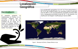 Localización
Geográfica
El presente proyecto se
implementará en Oxchuc, es un
municipio indígena que se
encuentra a 48 km de San
Cristóbal de las Casas, en el
Estado de Chiapas, México. La
etnia que predomina es el tzeltal.
Su nombre significa en lengua
tzeltal "Tres Nudos"
Las coordenadas geográficas son 16° 51′ 0″ de Latitud Norte y
92° 25′ 0″ de Longitud Oeste, con una altura sobre el nivel del
mar de 1967 m. con una precipitación promedio anual de 1590
mm y temperatura promedio anual de 16° C, de acuerdo a la
clasificación de Köppen modificada por García (1987).
Figura 1. Municipio de Oxchuc, Chiapas; México en rojo.
Macrolocalización
 