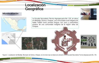 Localización
Geográfica
La Escuela Secundaria Técnica Agropecuaria No. 135, se ubica
en Mesbilja, Oxchuc; Chiapas, una comunidad rural indígena de
habla Tzeltal como primera lengua, con usos y costumbres
propios de una comunidad indígena de la región selva de
Chiapas.
Microlocalización
Figura 2. Localización de Mesbilja, Municipio de Oxchuc, Chiapas, en el círculo rojo se observa la ubicación de la Escuela Secundaria Técnica Agropecuaria No. 135.
 