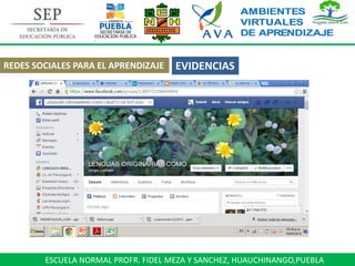 ESCUELA NORMAL PROFR. FIDEL MEZA Y SANCHEZ, HUAUCHINANGO,PUEBLA
REDES SOCIALES PARA EL APRENDIZAJE EVIDENCIAS
 