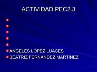 ACTIVIDAD PEC2.3 ,[object Object],[object Object]