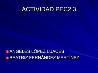 ACTIVIDAD PEC2.3 ÁNGELES LÓPEZ LUACES BEATRIZ FERNÁNDEZ MARTÍNEZ 