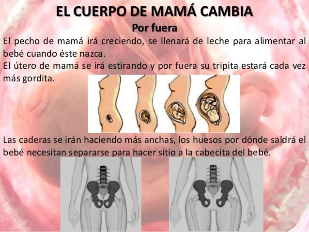 El tratamiento de la columna vertebral al mioma